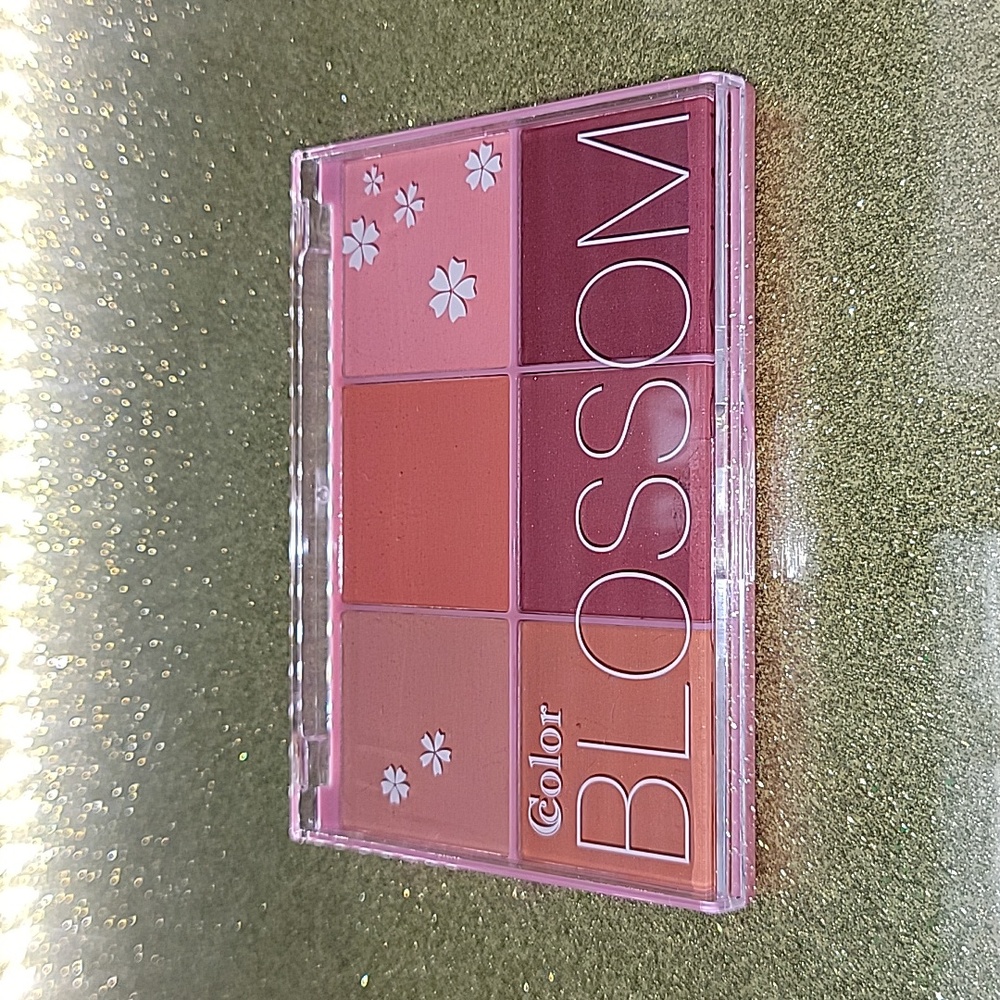 2 For $20. Ccolor Blossom 6 Color Face Palette